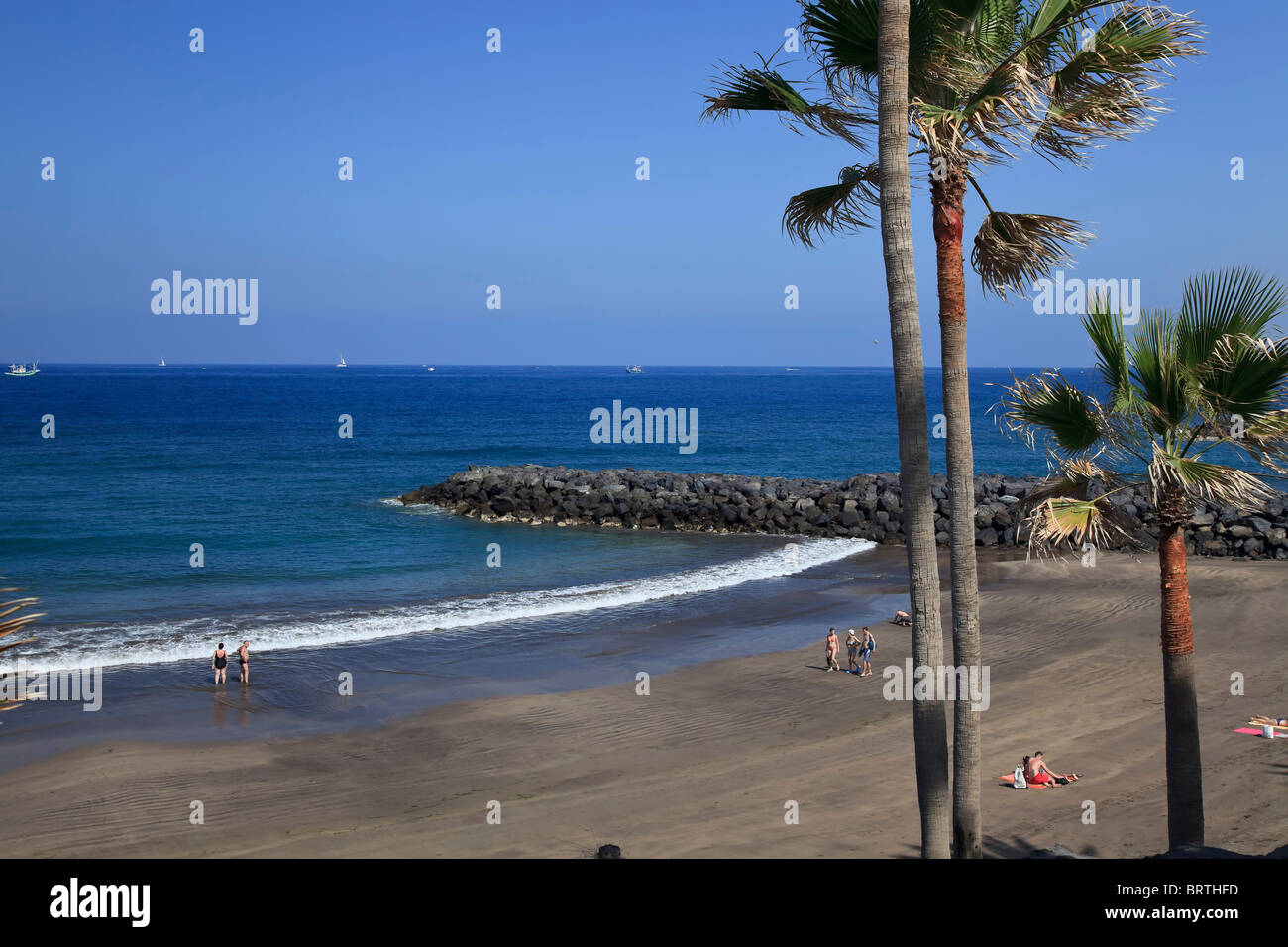 Isole Canarie, Tenerife Playa de las Americas Foto Stock