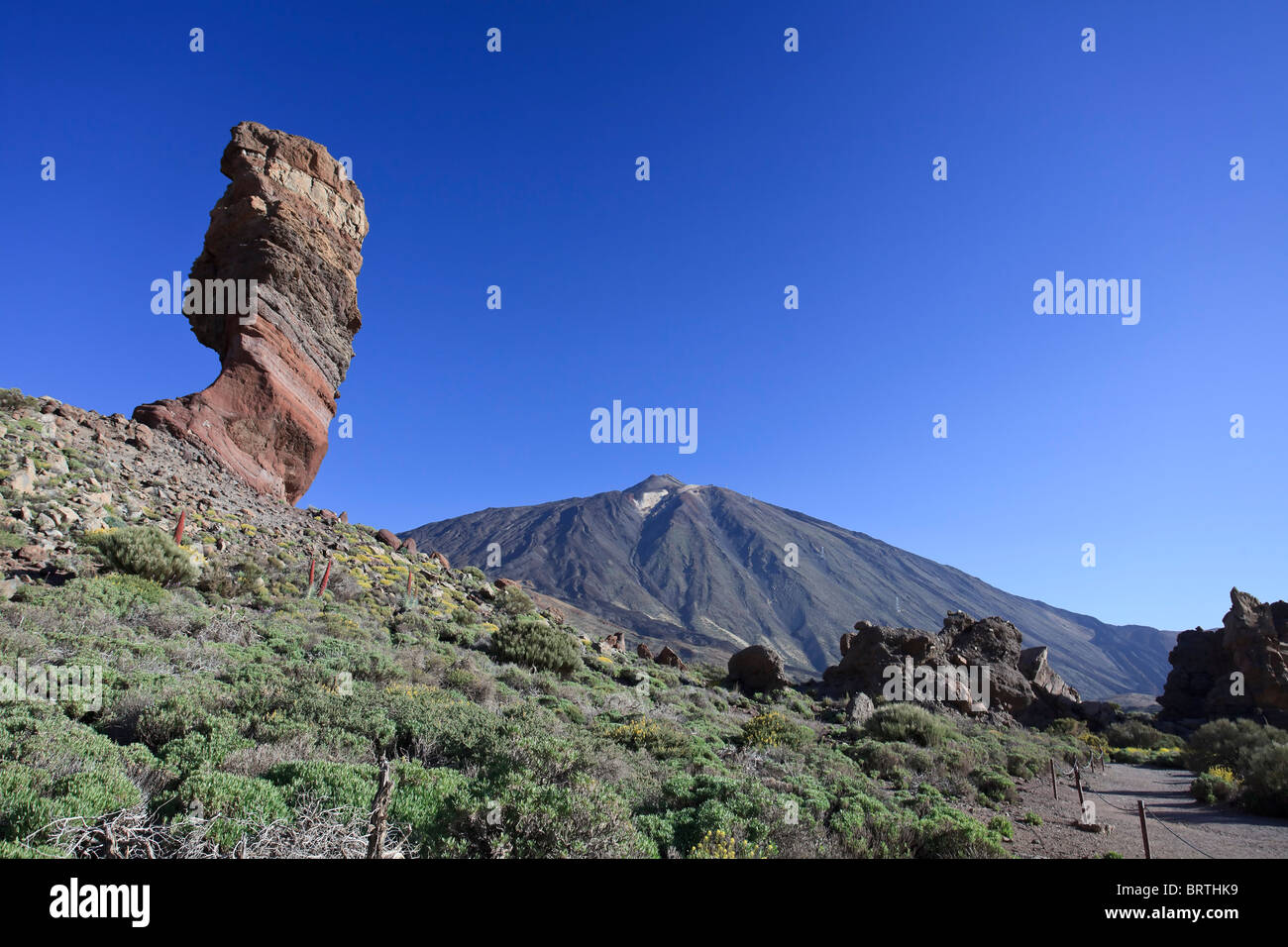 Isole Canarie, Tenerife, Parque Nacional del Teide (Parco Nazionale del Teide), sito UNESCO, Mt. Il Teide e Chinchado Rock Foto Stock