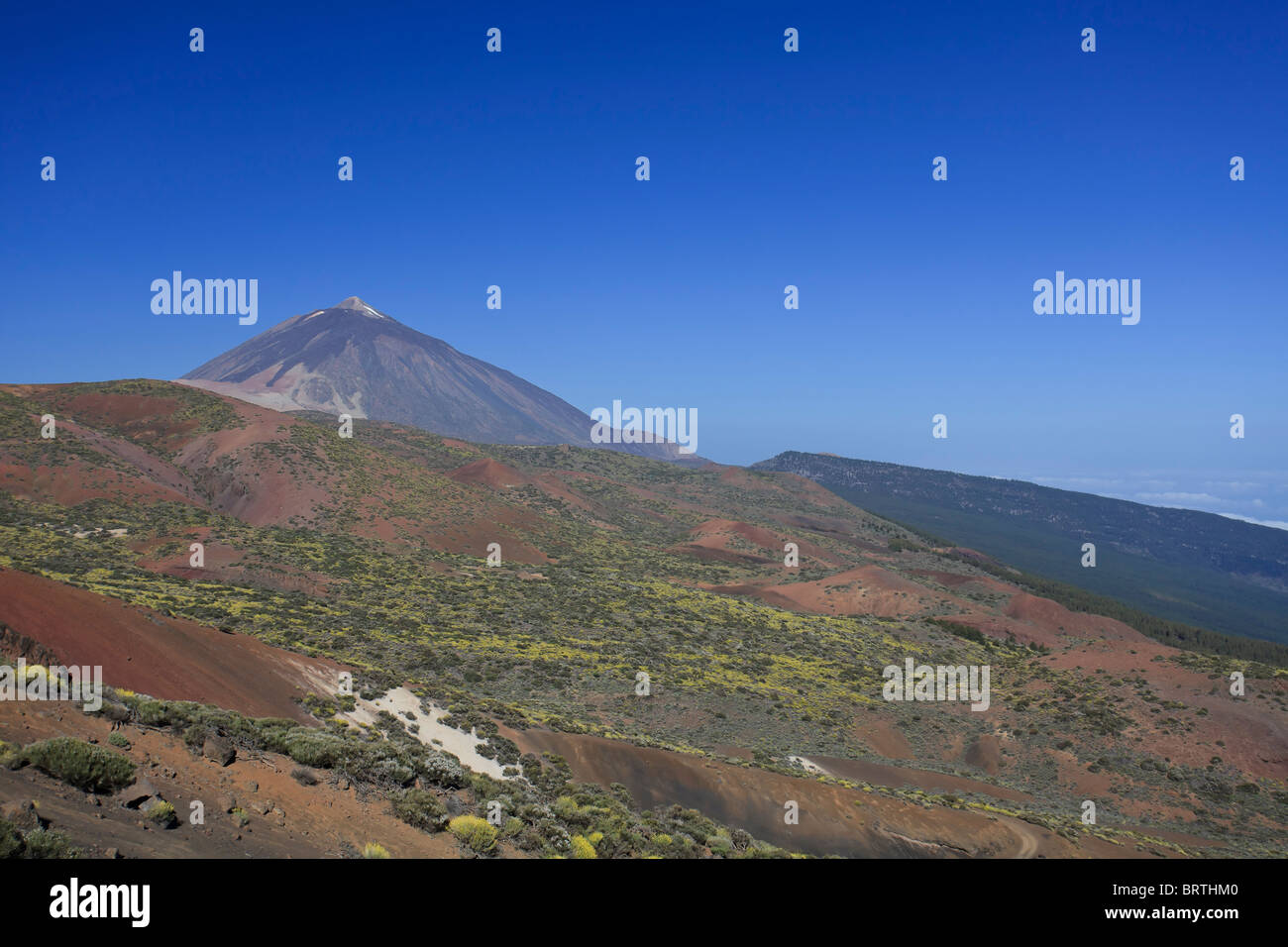 Isole Canarie, Tenerife, Parque Nacional del Teide (Parco Nazionale del Teide), sito UNESCO, Mt. Il Teide Foto Stock
