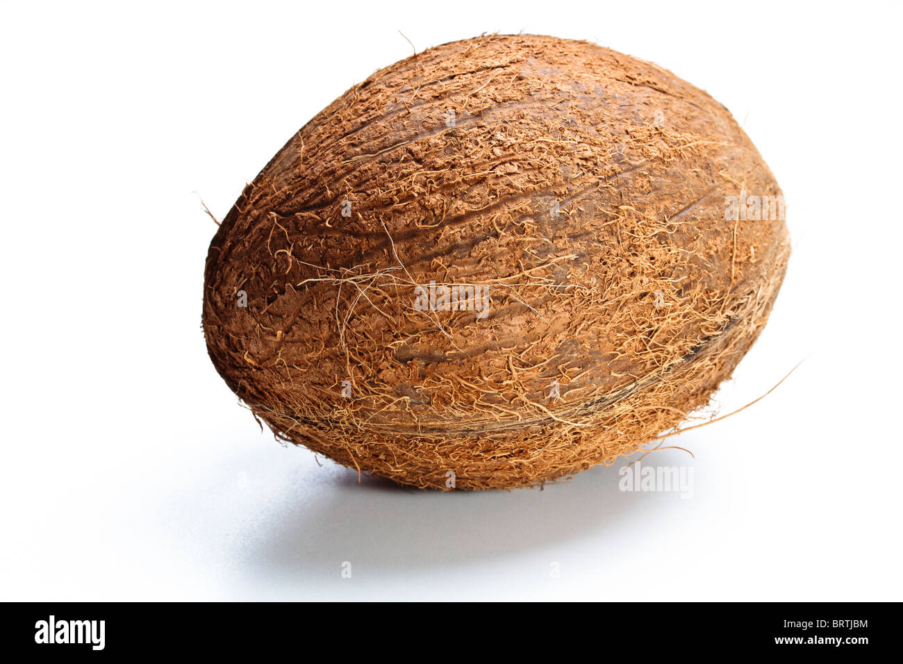 Noce di cocco naturale su sfondo bianco Foto Stock