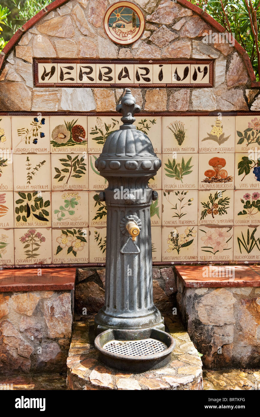 Acqua bella tocca con erbario fiori selvatici Foto Stock