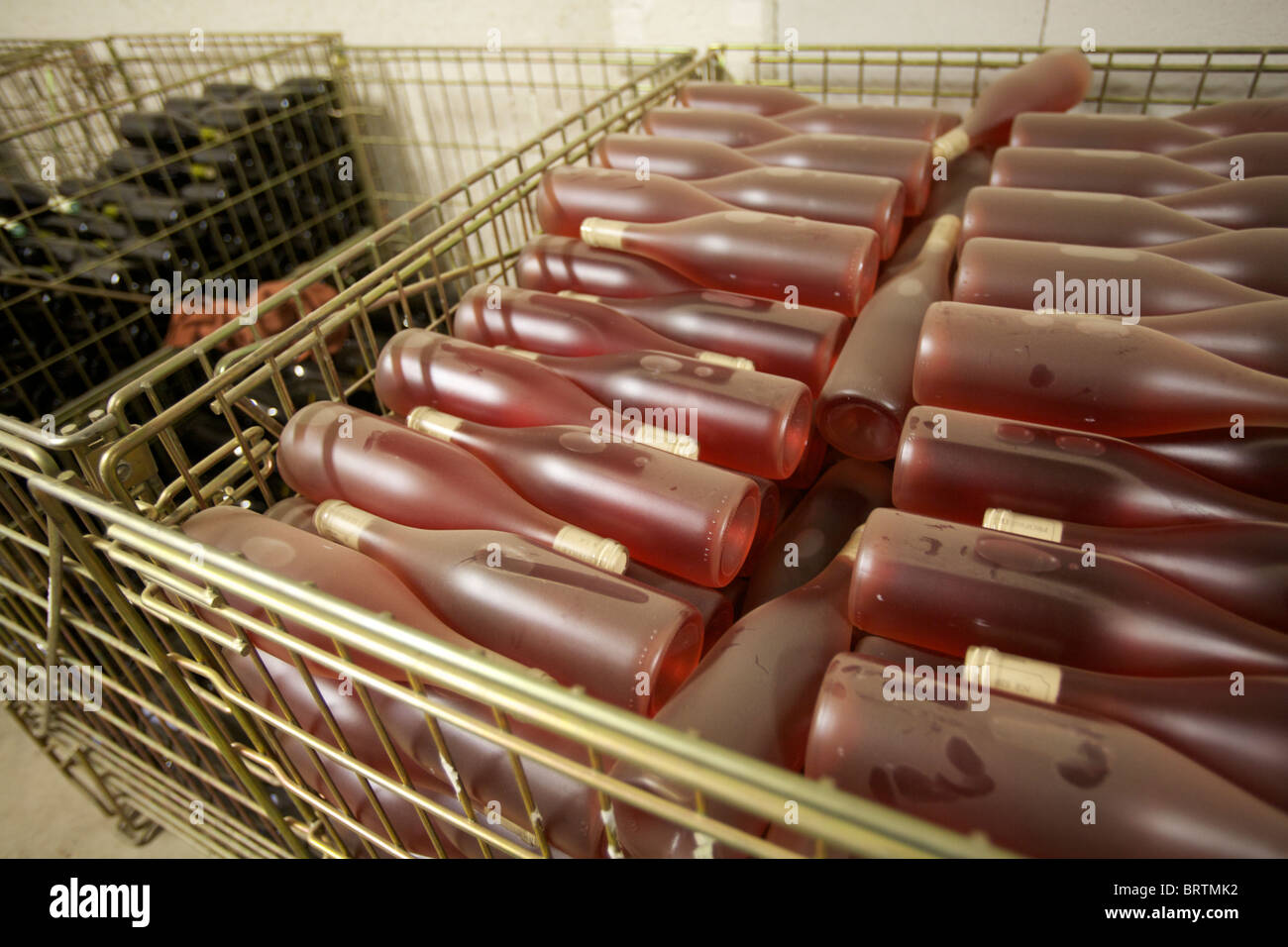 Bottiglie di vino rosato pronto per essere etichettati, in una cantina Foto Stock