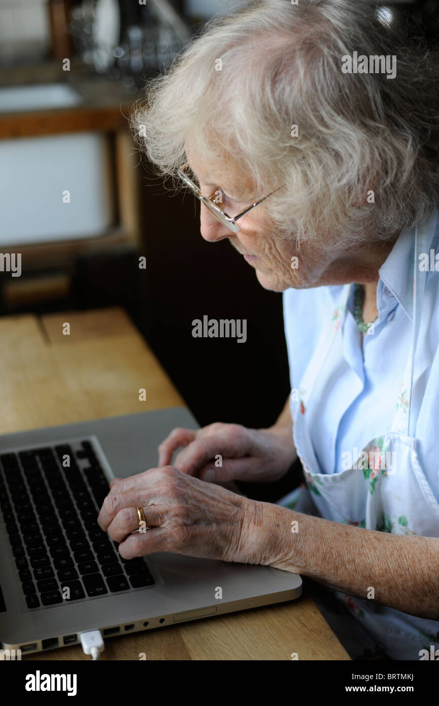 Silver Surfer oap computer internet lady titolare di pensione o di rendita Foto Stock