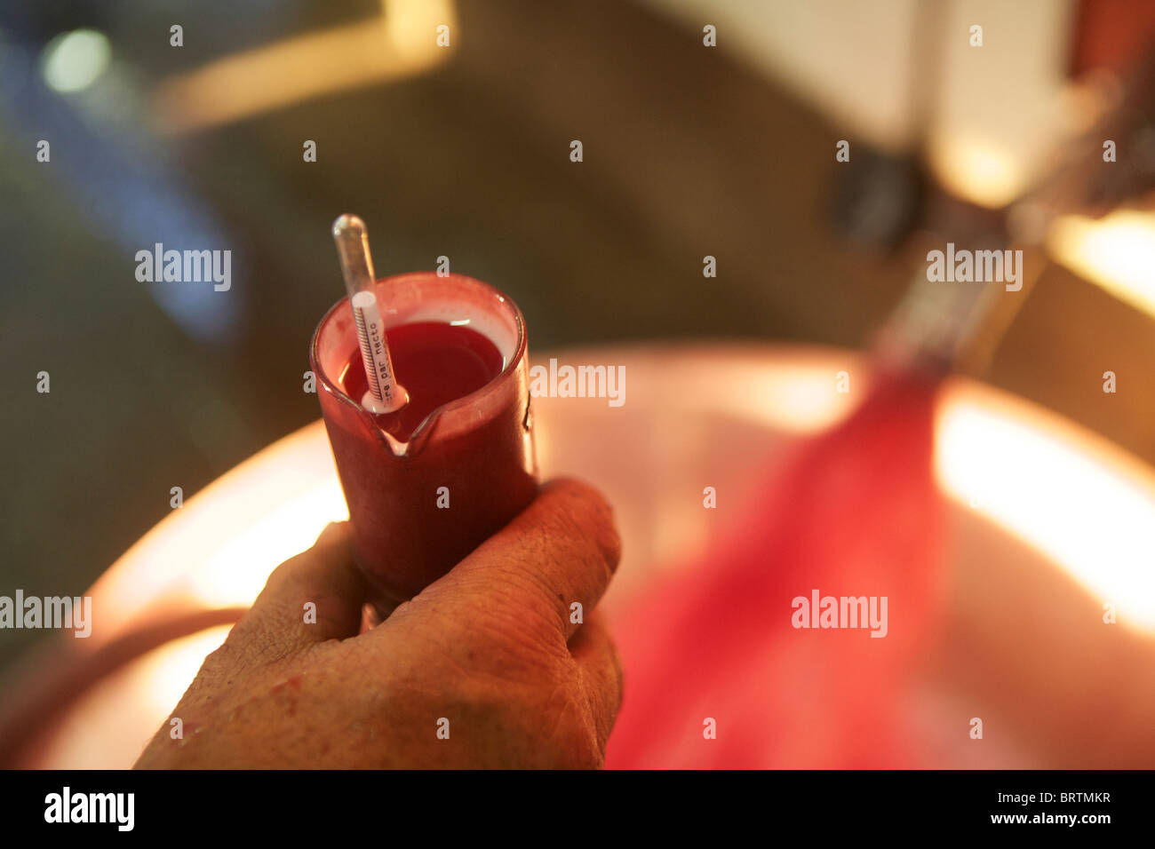 Testing del contenuto di zucchero in appena raccolto un succo di uve per il vino, il Beaujolais Francia Foto Stock
