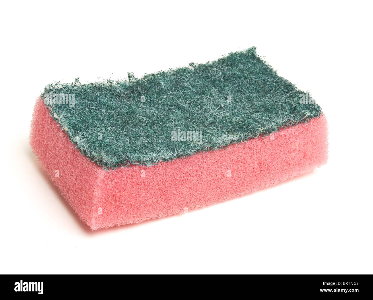 Spugna Scourer dalla prospettiva bassa isolato su bianco. Foto Stock