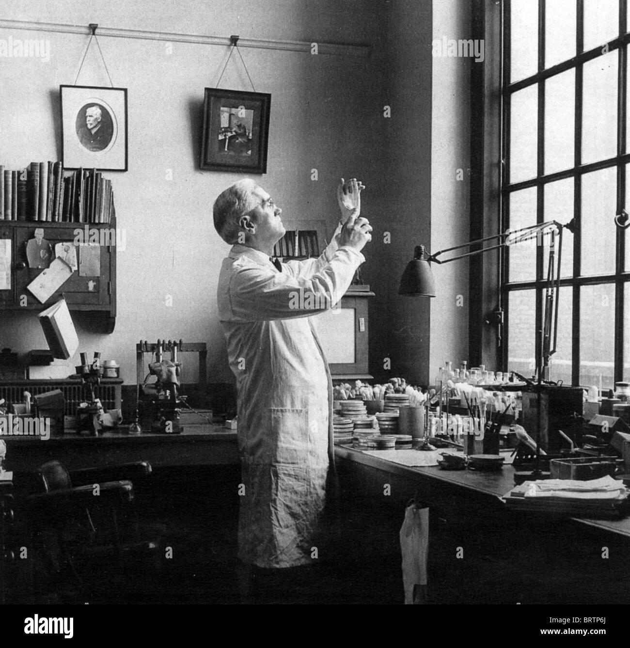 SIR Alexander Fleming (1881-1955) biologo scozzese / farmacologo nel suo laboratorio presso l'ospedale St Mary, Paddington, Londra Foto Stock