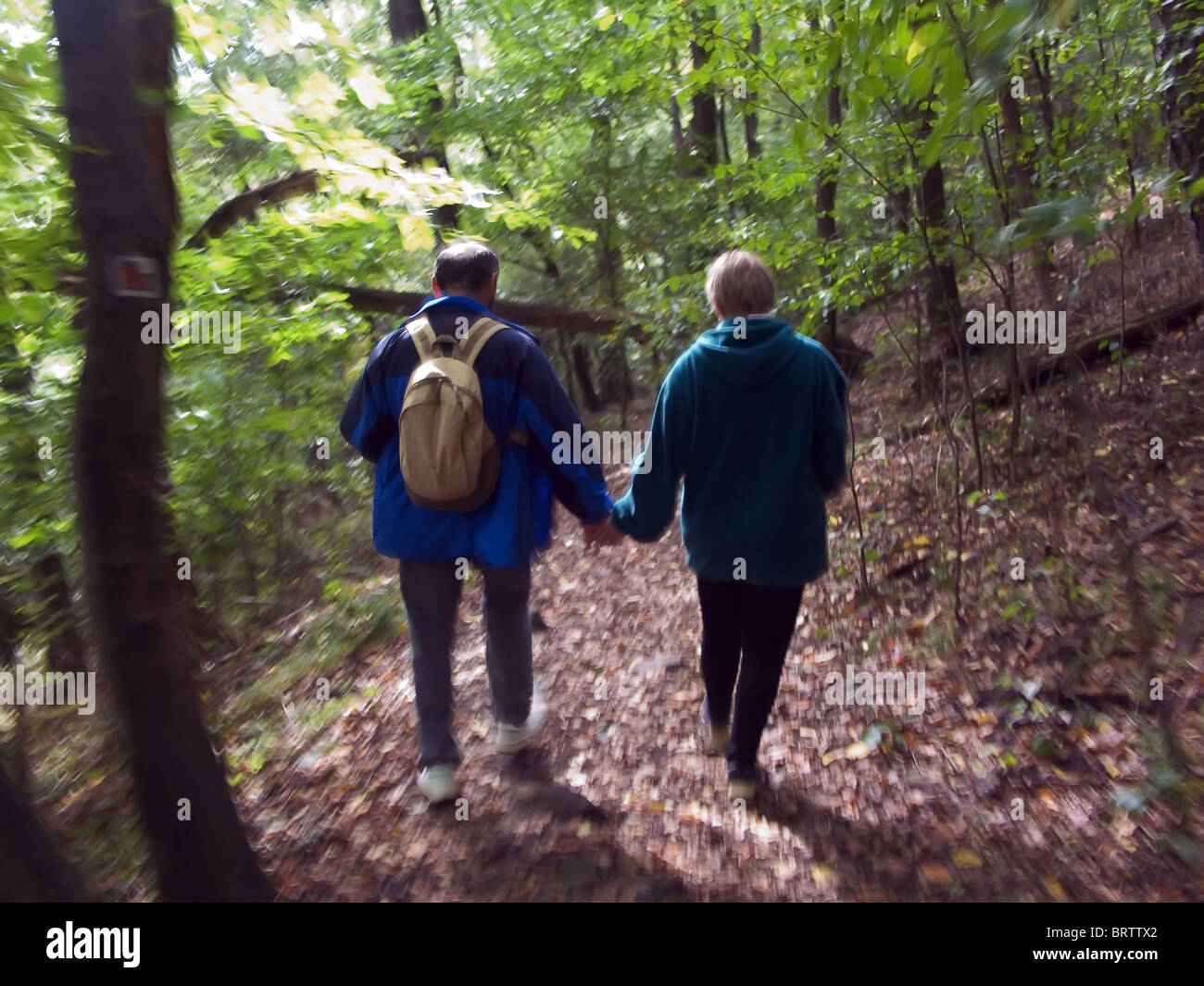 Partner su una passeggiata nei boschi Foto Stock