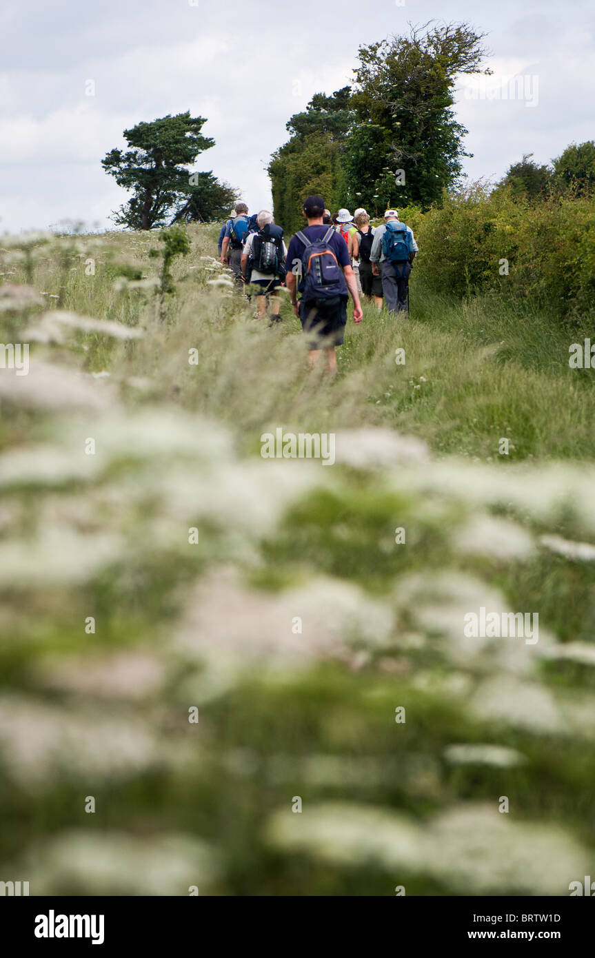 Membri della Ramblers Association per una passeggiata nei pressi di Whitchurch, Hampshire. OS EX144 su 481 532 17/06/07 Foto Stock