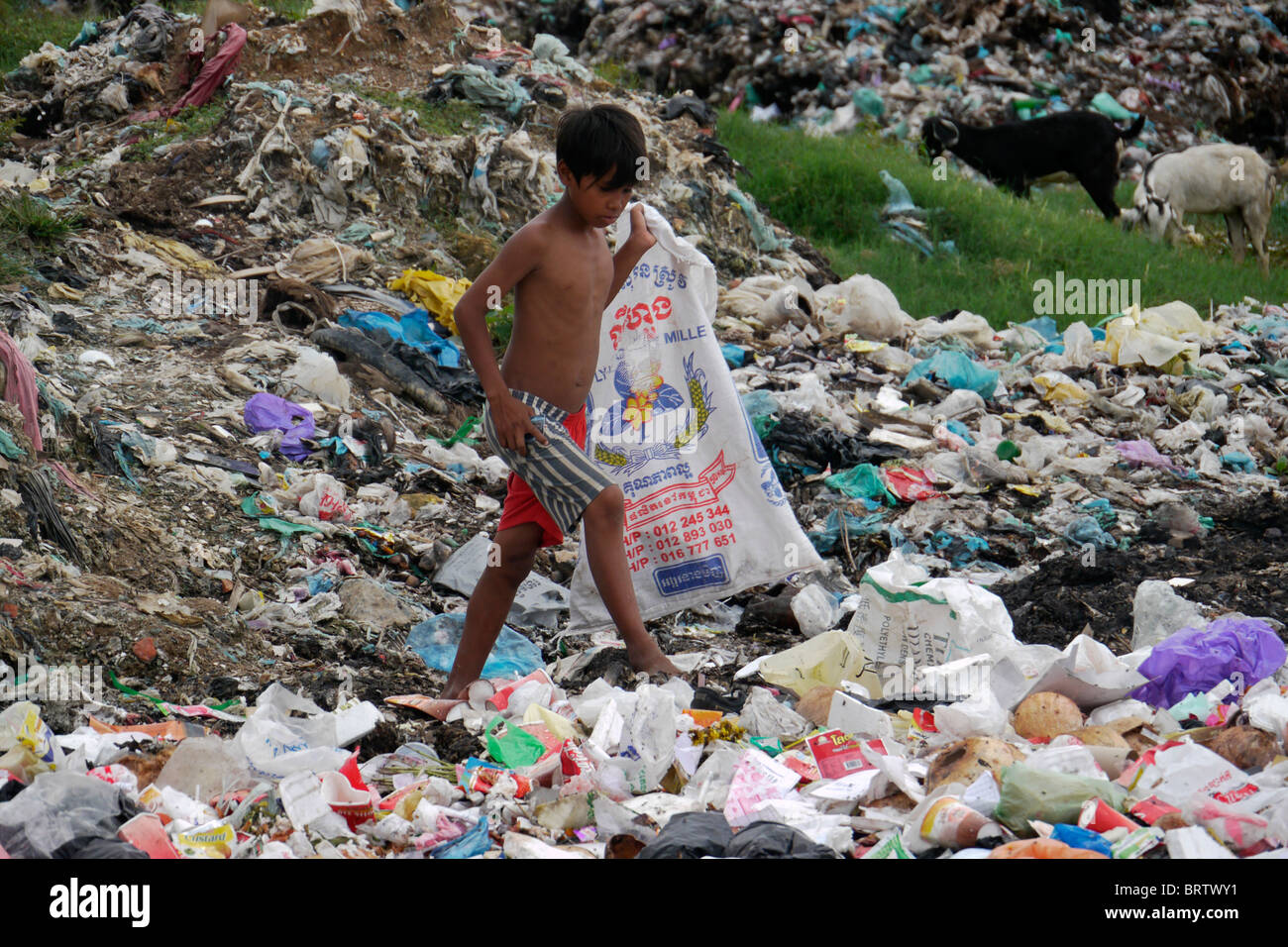Cambogia di scavenging del ragazzo per rifiuti riciclabili sulla discarica di media Caeay, Phnom Penh. Foto di SEAN SPRAGUE Foto Stock