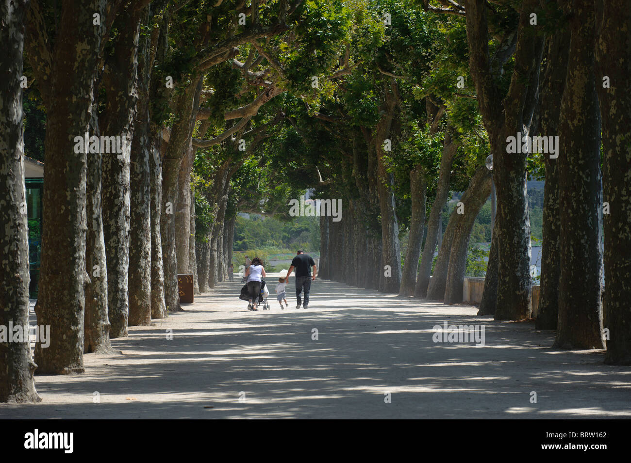 Coppia con bambini e baby stroller passeggiate tra alberi di alto fusto in Manuel Braga park a Coimbra, Portogallo Foto Stock
