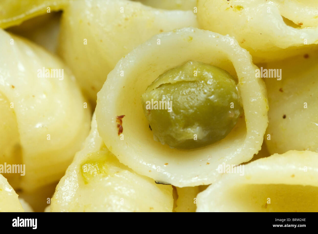 Il segnale di pea in una mini guscio di pasta super macro closeup Foto Stock