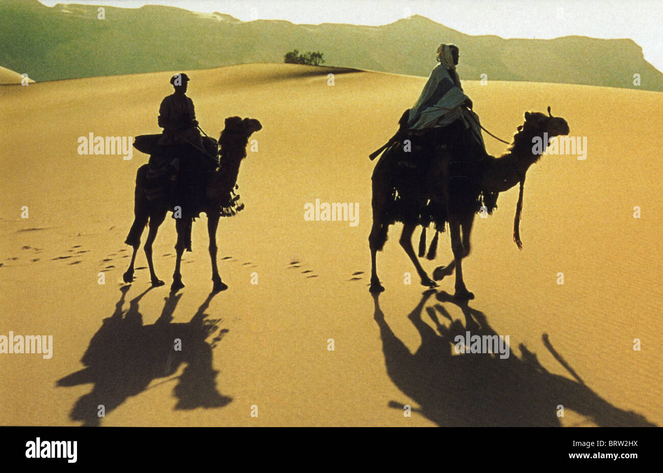 LAWRENCE D'ARABIA 1962 Columbia/Horizon film con Peter O'Toole a sinistra Foto Stock