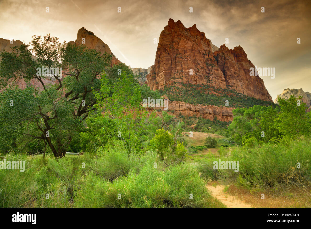 Parco Nazionale di Zion Foto Stock