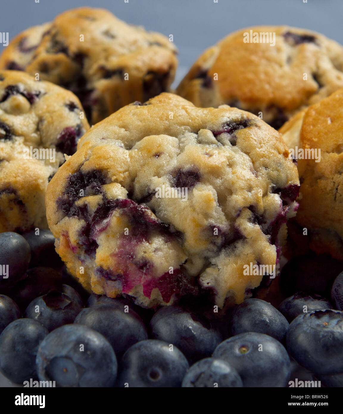 Piccola pila di muffin ai mirtilli e mirtilli freschi sopra uno sfondo blu closeup Foto Stock