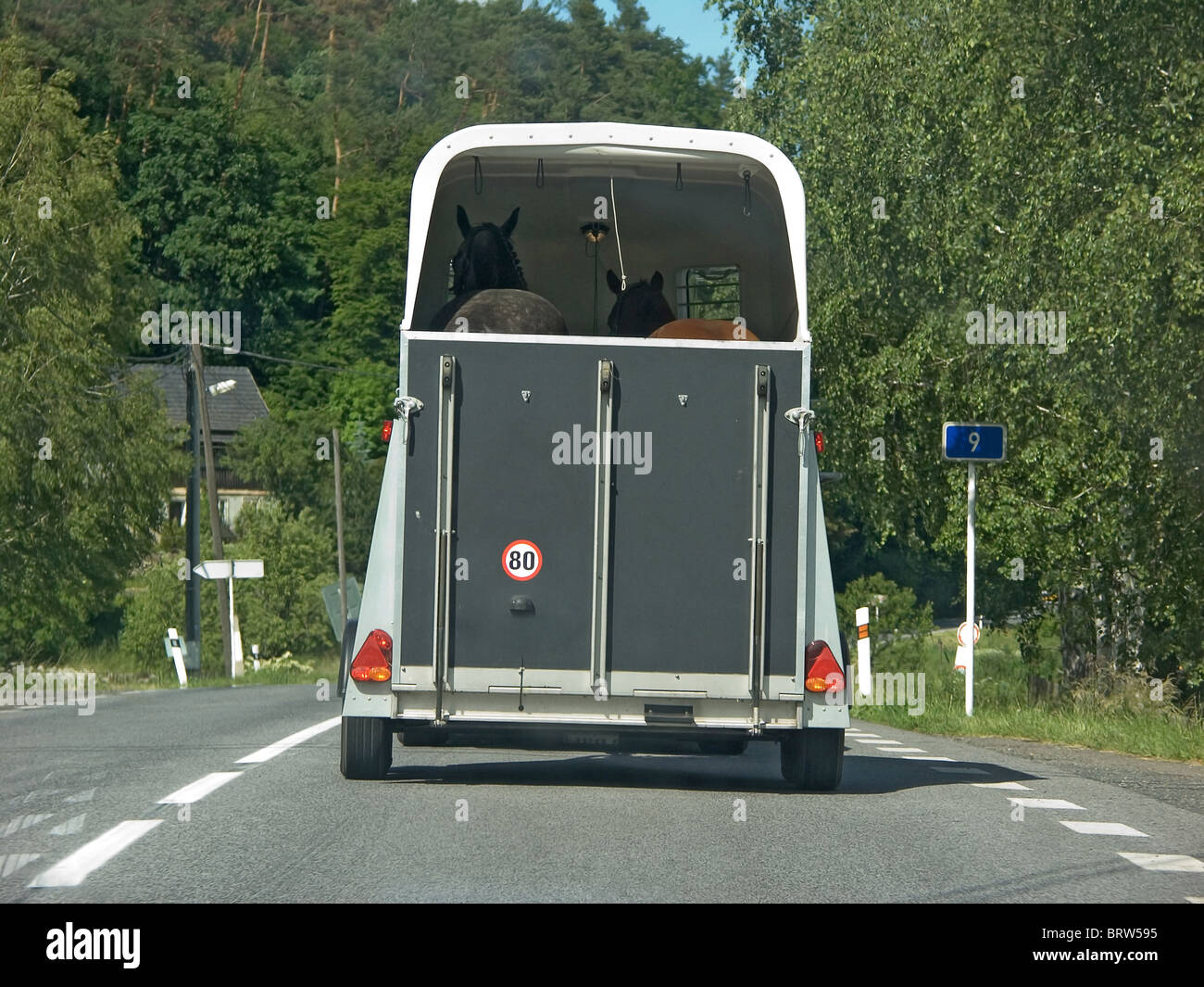 Trasporto cavallo Foto Stock