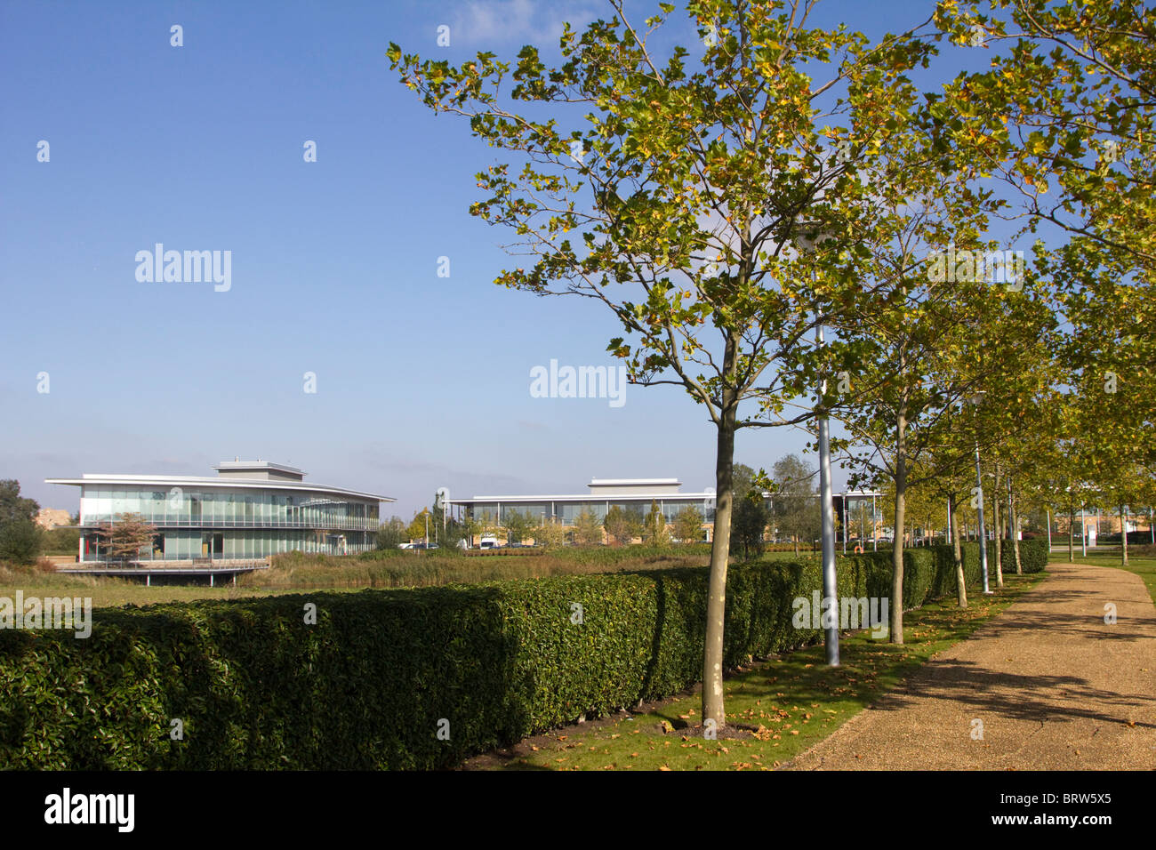 IQ CAMBRIDGE business center cambridgeshire England Regno unito Gb Foto Stock