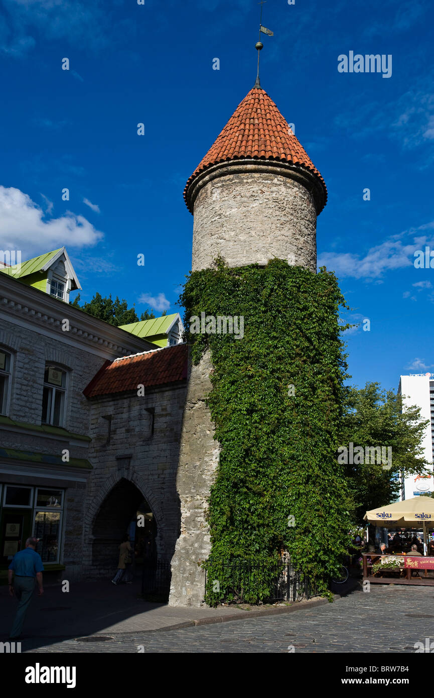 Town Gate, Tallinn, Estonia, Stati Baltici Foto Stock