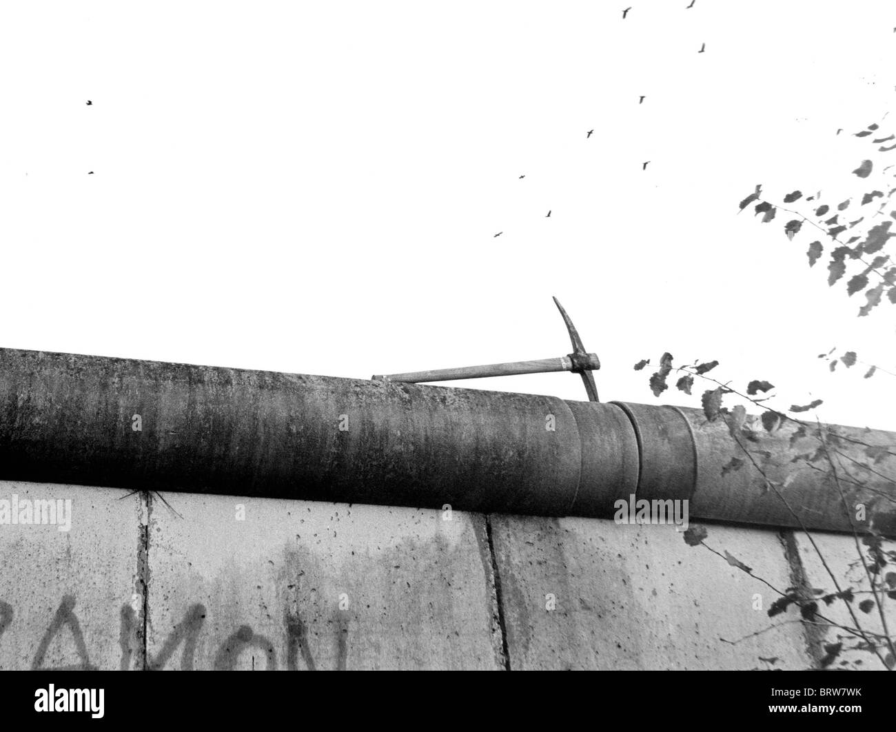 Caduta del muro di Berlino, Venerdì 10 Novembre 1989 Foto Stock