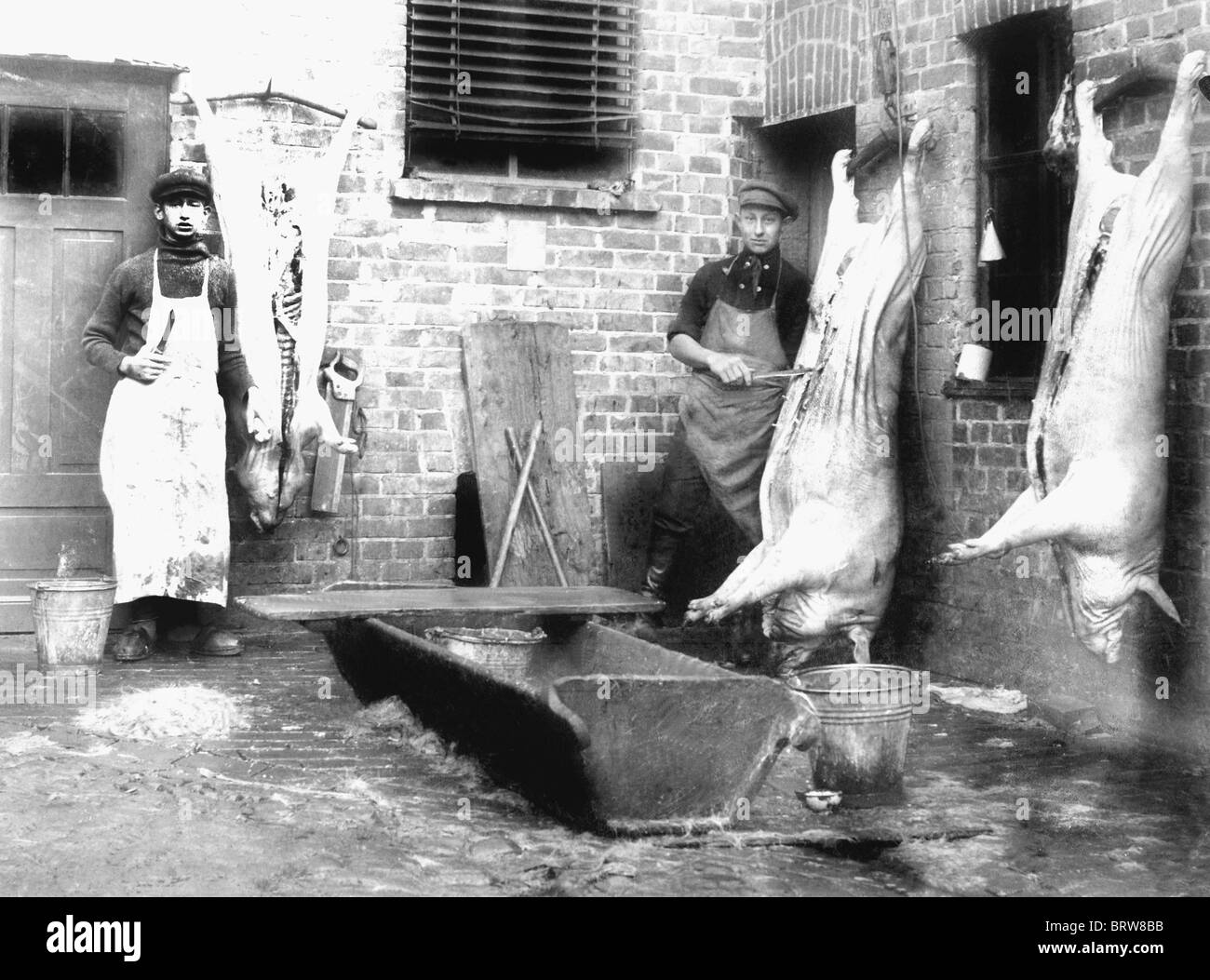 Butcher con tre maiali, storico photgraph, intorno al 1912 Foto Stock