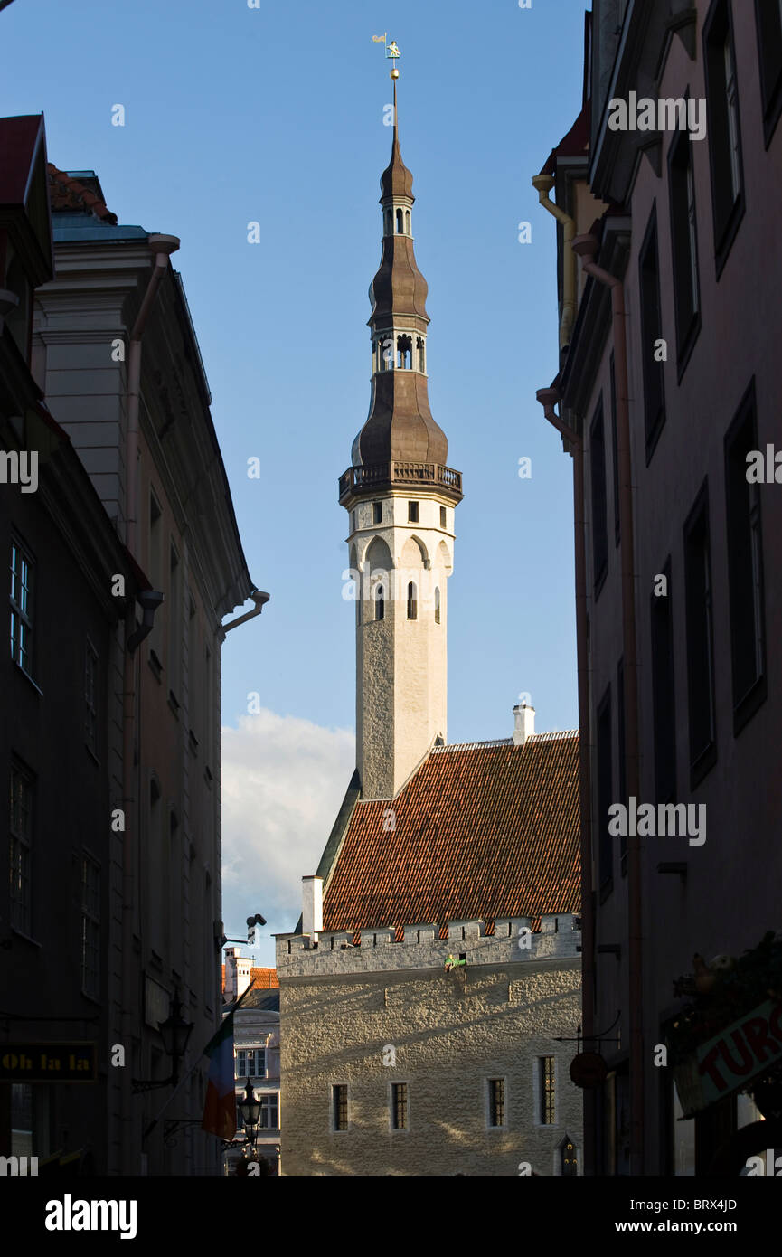 Il municipio, Tallinn, Estonia, Stati Baltici Foto Stock