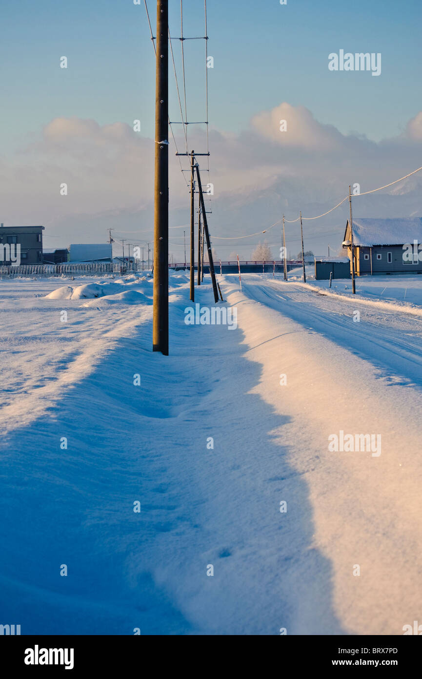 Fila di pali di utilità accanto alla strada rurale in inverno Foto Stock