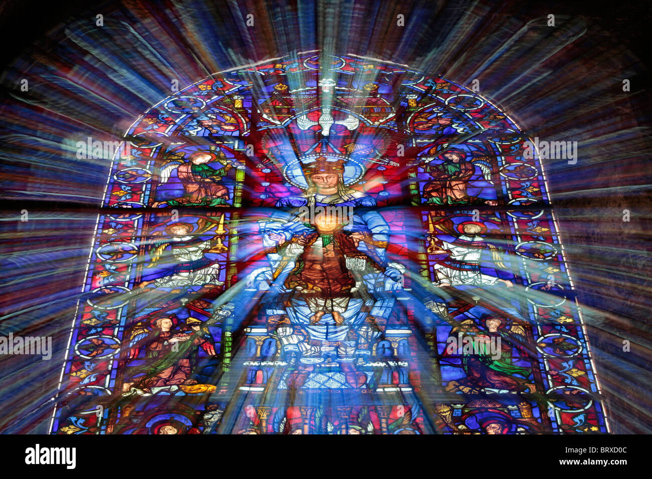 In vetro colorato, la cattedrale di Chartres, Francia Foto Stock