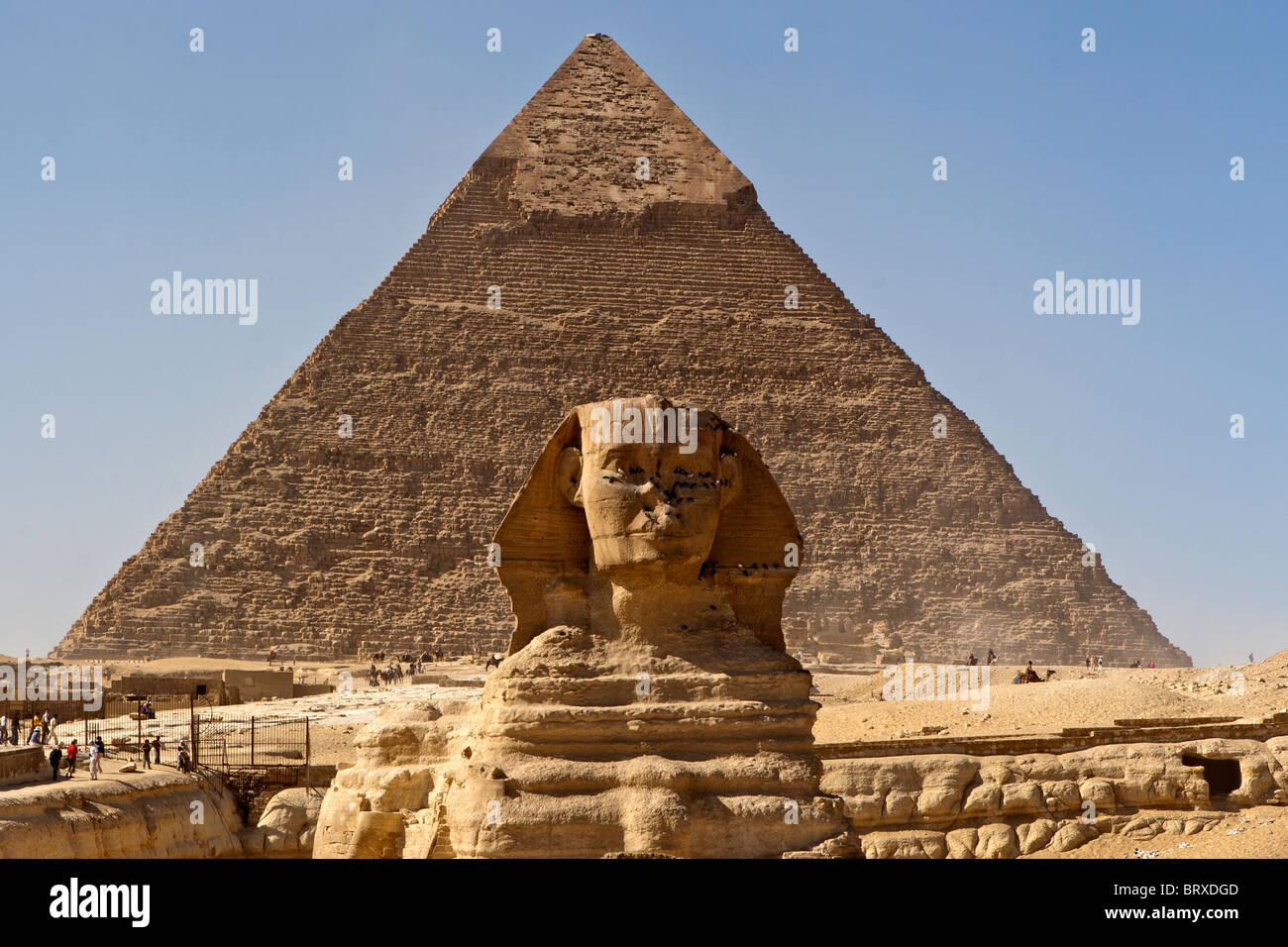 La Grande Sfinge e piramide di Khafre (Chephren) di Giza in Egitto. Foto Stock