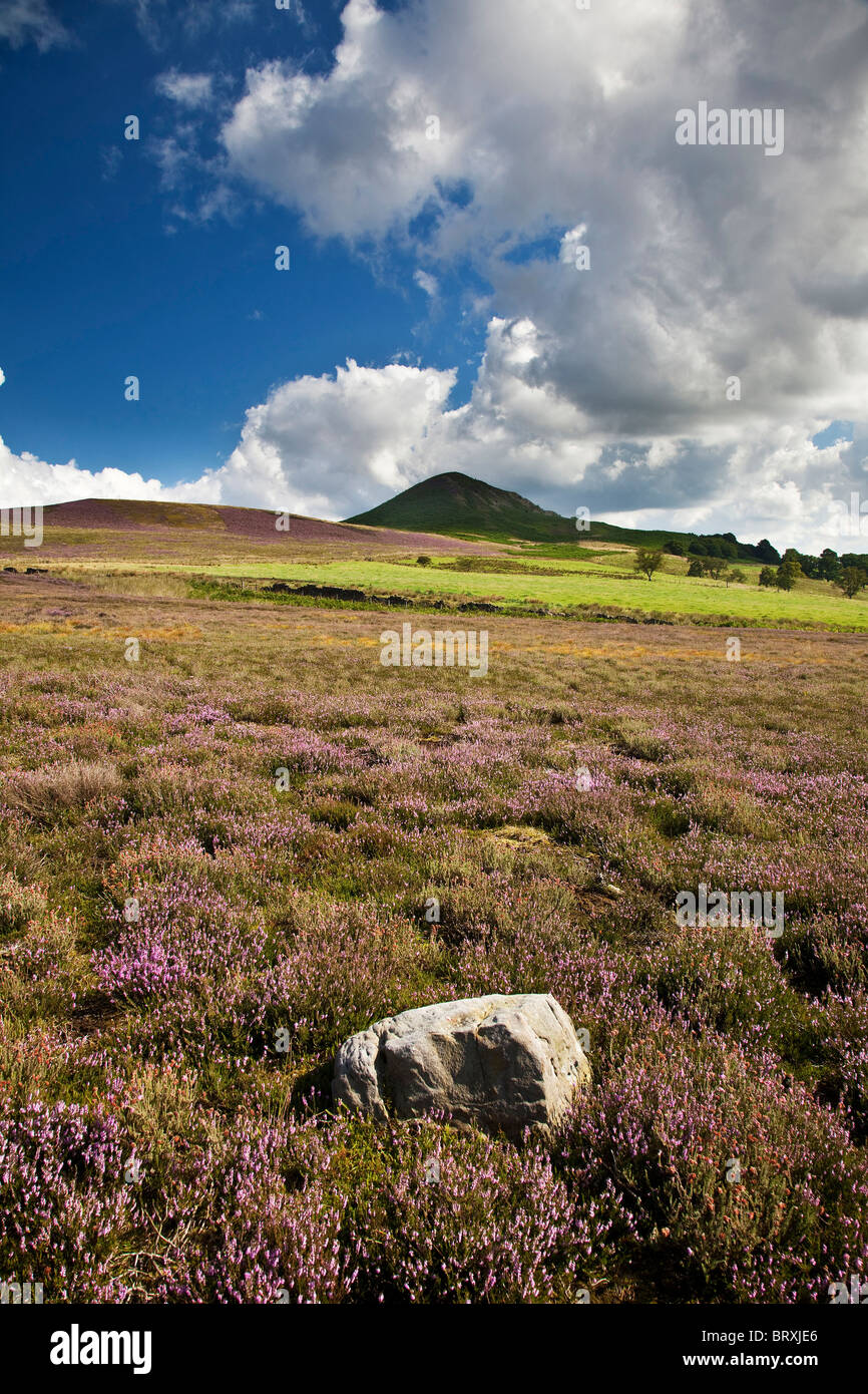 Tollerton Hill, North York Moors National Park Foto Stock
