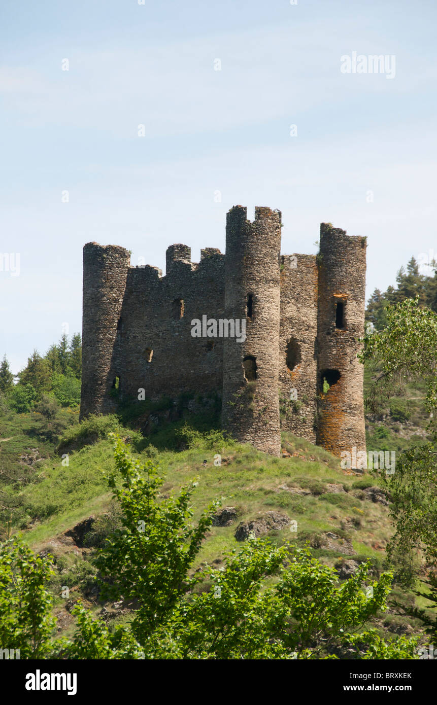 Castello di Alleuze, Château d'Alleuze. Cantal, Francia Foto Stock