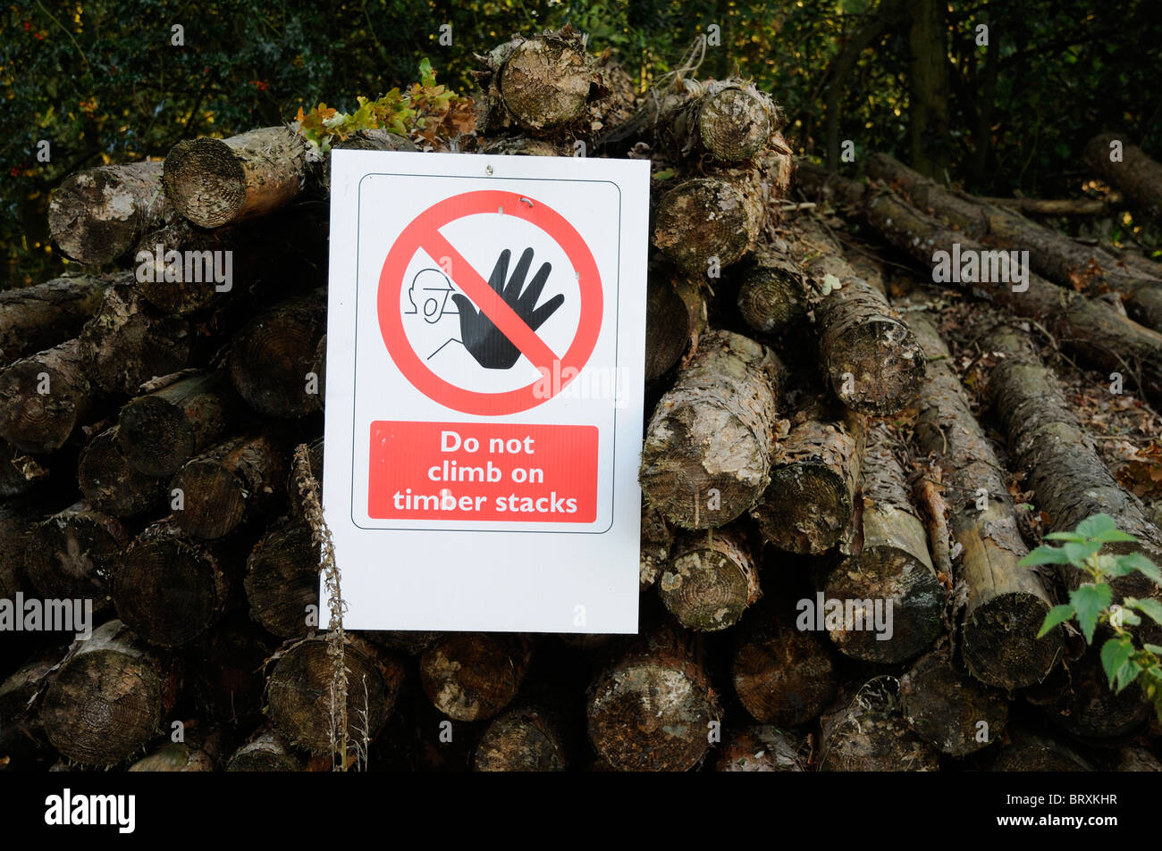 Avviso di consigliare le persone a non salire sulla pila di legname in un bosco di impostazione Foto Stock