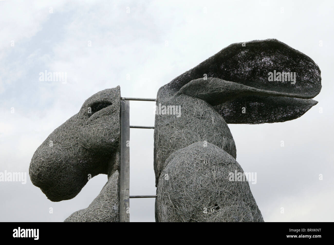 Sophie Ryder scultura. Close up di 'sitting lady lepre' 2007, in Yorkshire Sculpture Park, West Bretton, West Yorkshire, Regno Unito Foto Stock