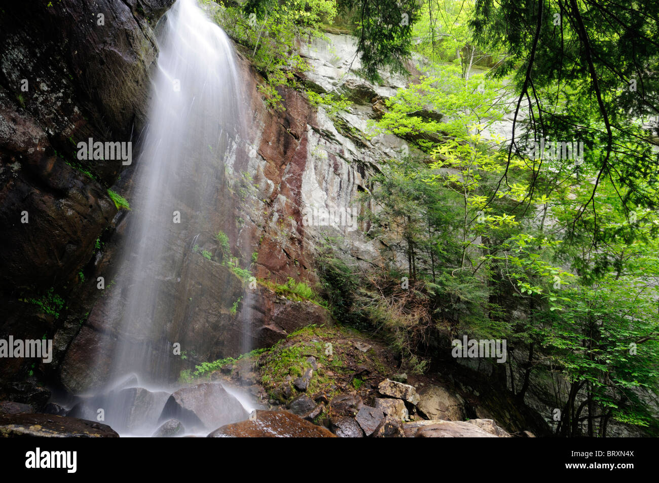 Bad ramo cascata cade Kentucky State Nature Preserve Bad ramo Gorge pino montano Foto Stock