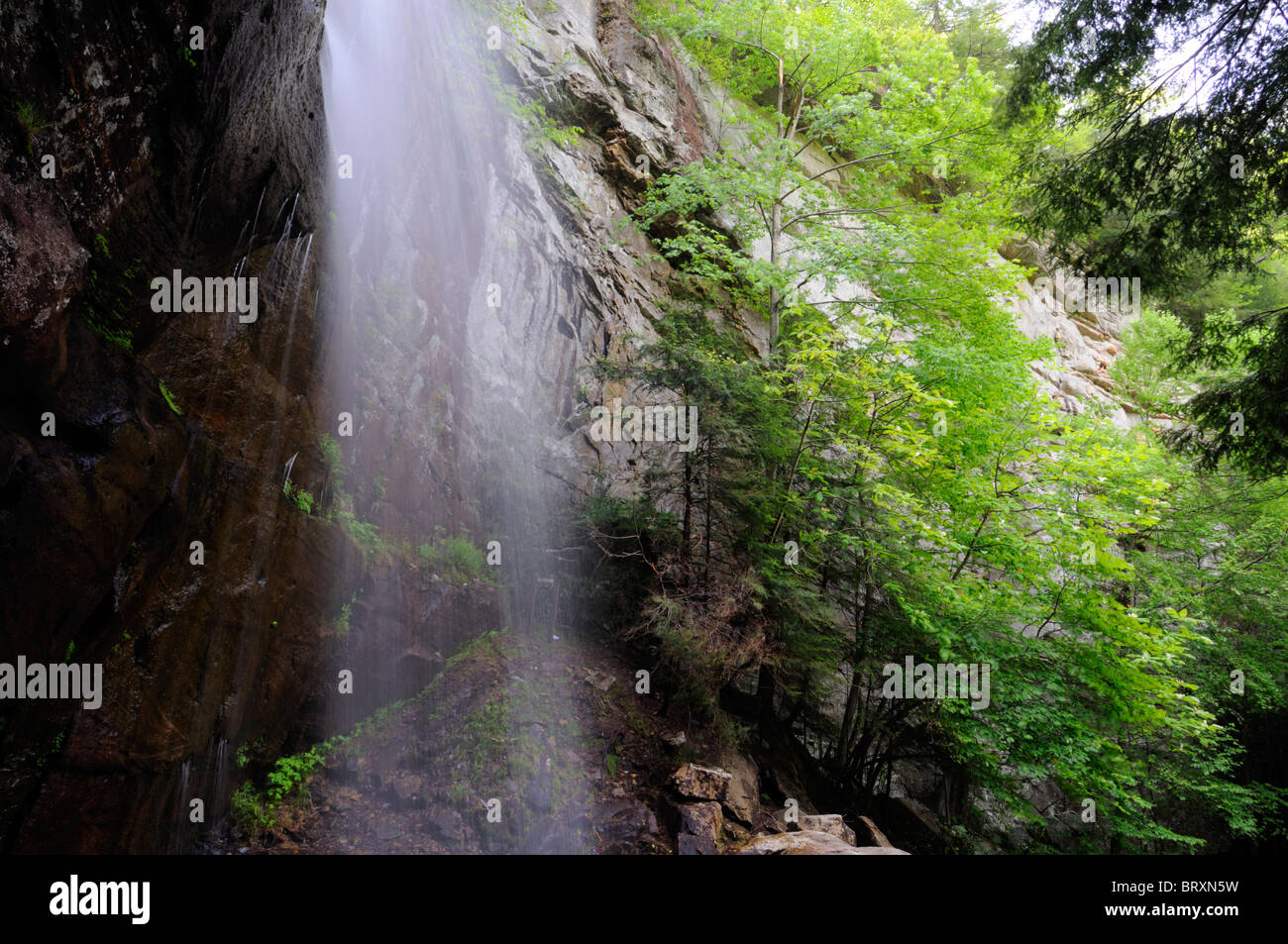 Bad ramo cascata cade Kentucky State Nature Preserve Bad ramo Gorge pino montano Foto Stock