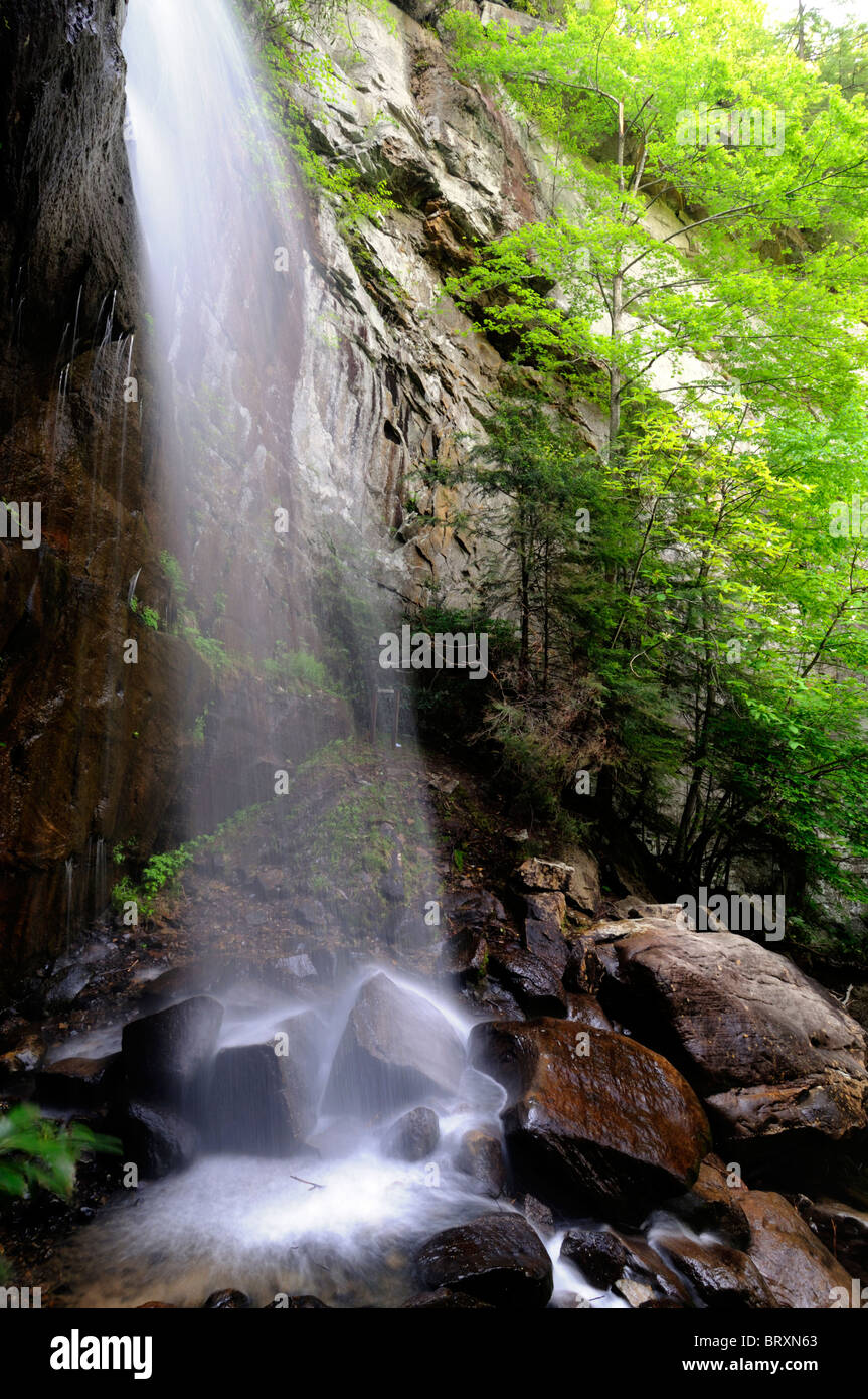 Bad ramo cascata cade Kentucky State Nature Preserve Bad ramo Gorge pino montano Foto Stock