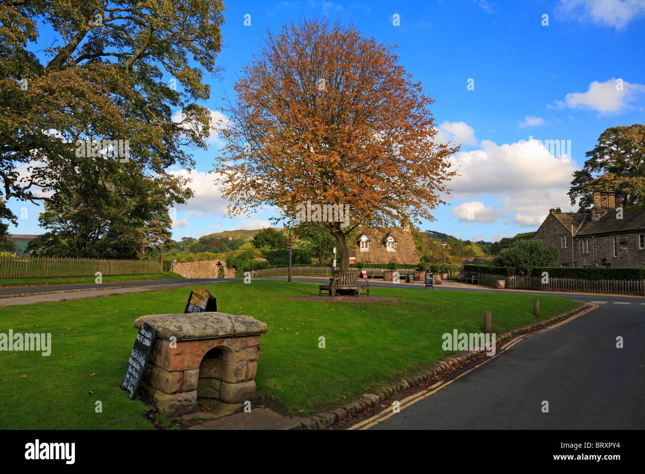 Albero del villaggio verde in autunno a Bolton Abbey, Yorkshire Dales National Park, North Yorkshire, Inghilterra, Regno Unito. Foto Stock