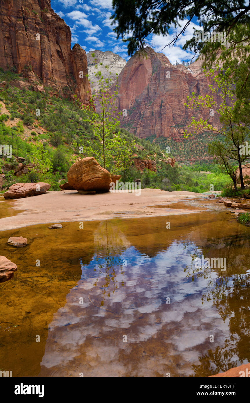 Pool di smeraldo nel Parco Nazionale di Zion Foto Stock