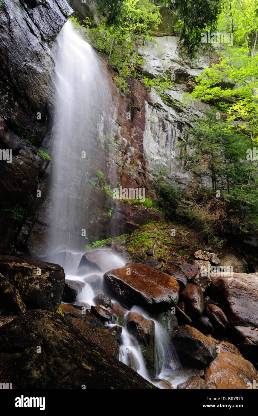 Bad ramo cascata cade Kentucky State Nature Preserve Bad ramo Gorge pino montano Foto Stock