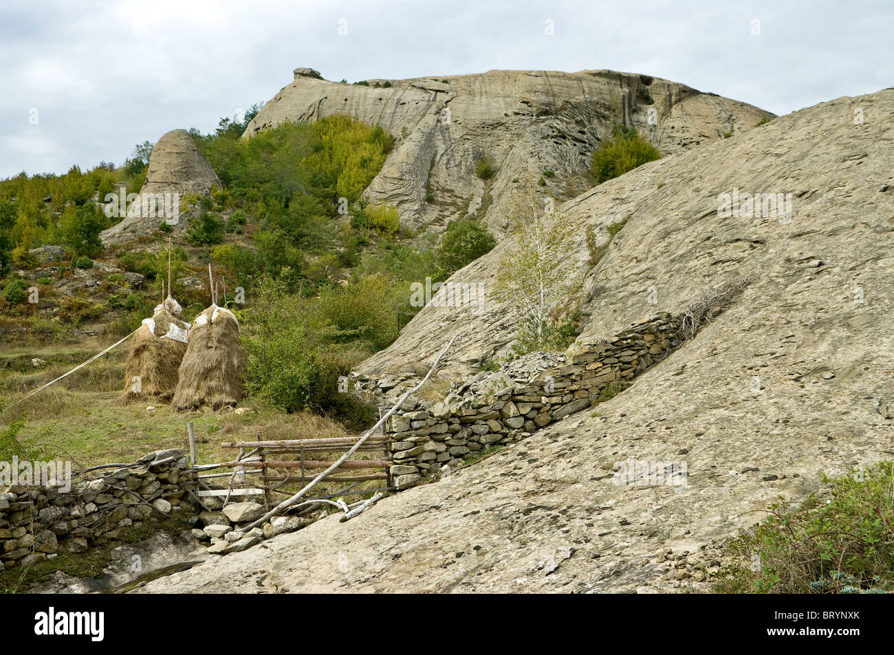 zona rocciosa Foto Stock