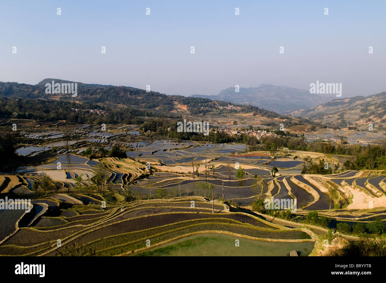 Riso drammatico terrazzo paesaggio nella regione di YuanYang, Yunnan. Foto Stock