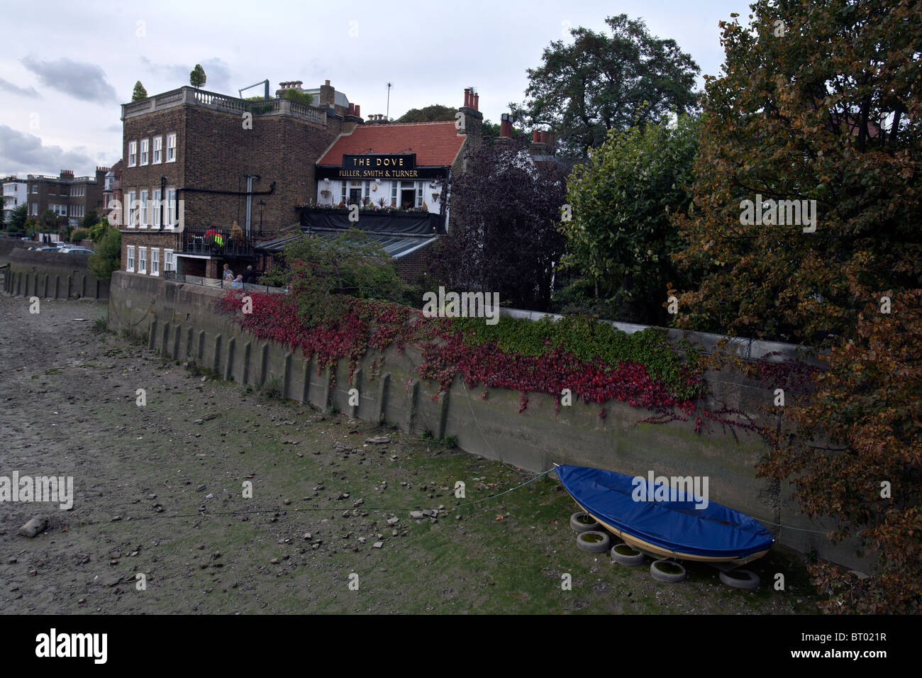 Un pub sul fiume Tamigi vicino a Hammersmith Foto Stock