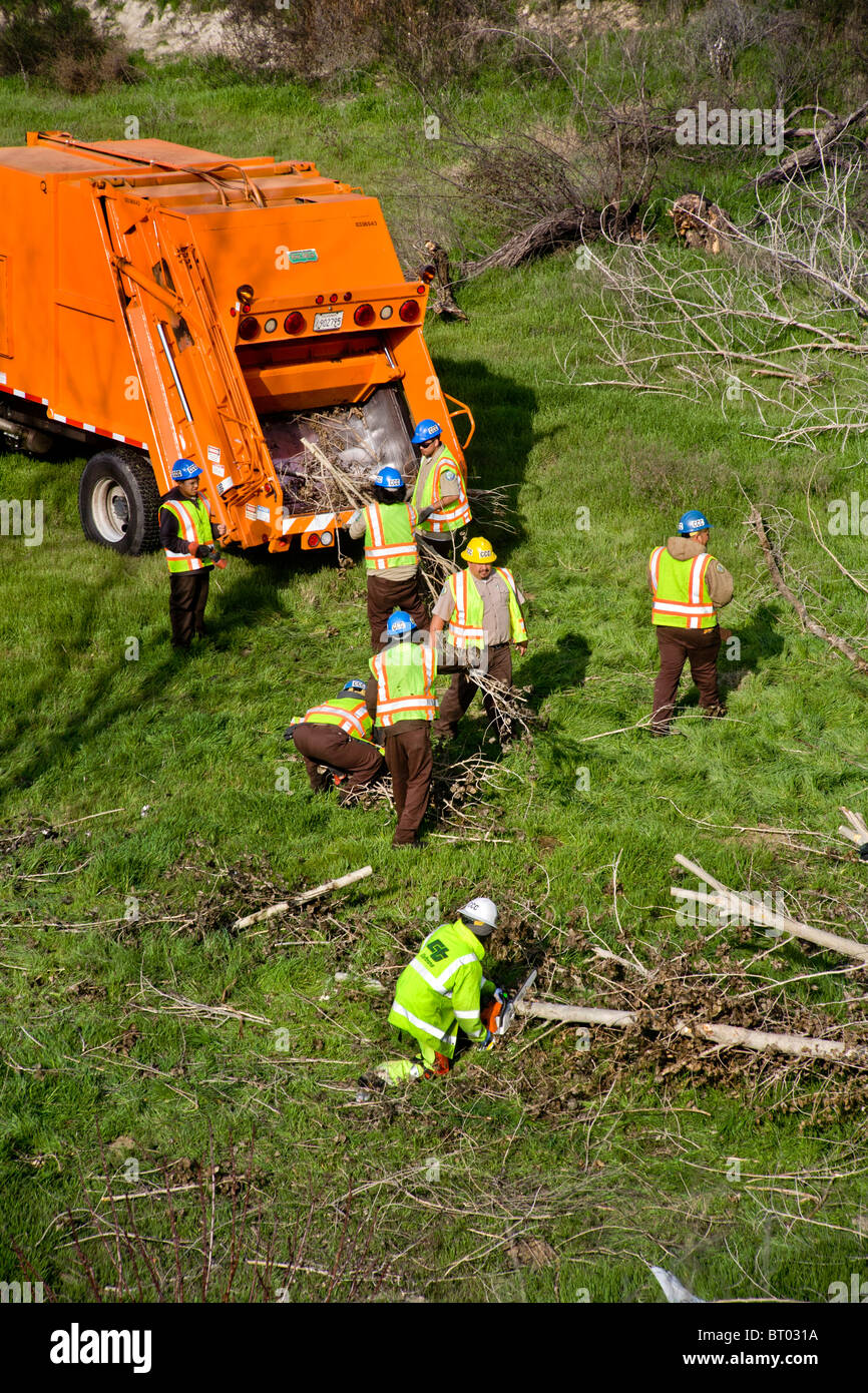 Una manutenzione ispanica equipaggio raccoglie arti di alberi tagliati a fianco di un'autostrada in Keyes, California. Nota foreman nel cappello giallo. Foto Stock