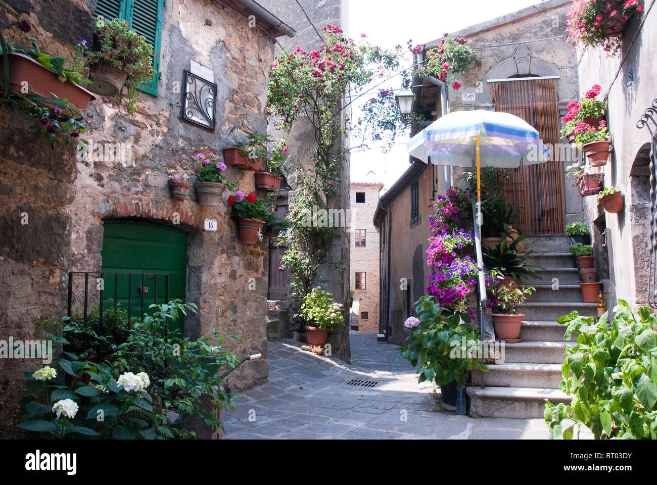 Montelaterone, Provincia di Grosseto, Toscana, Italia Foto Stock