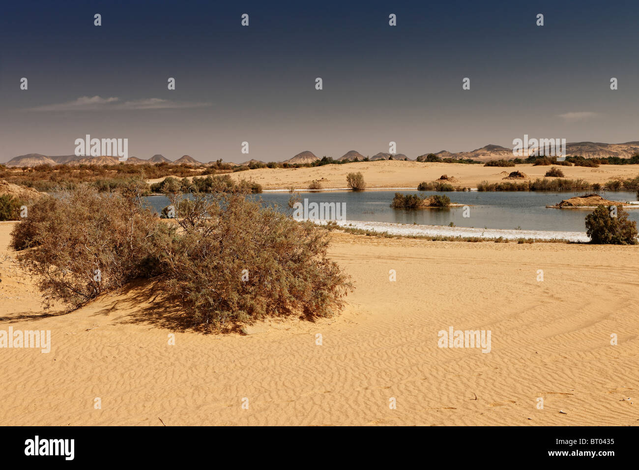 Salt Lake vicino oasi Bahariya, Western Desert, Egitto, Africa Foto Stock