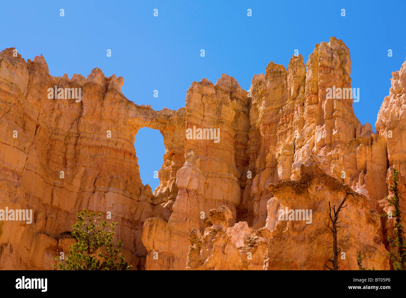 Uniche formazioni rocciose nel Bryce Canyon Foto Stock
