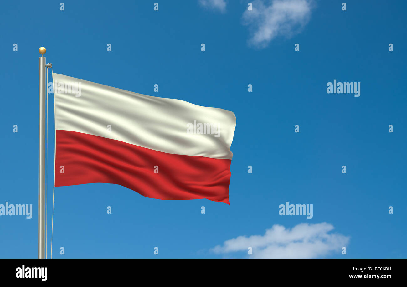 Bandiera della Polonia Foto Stock