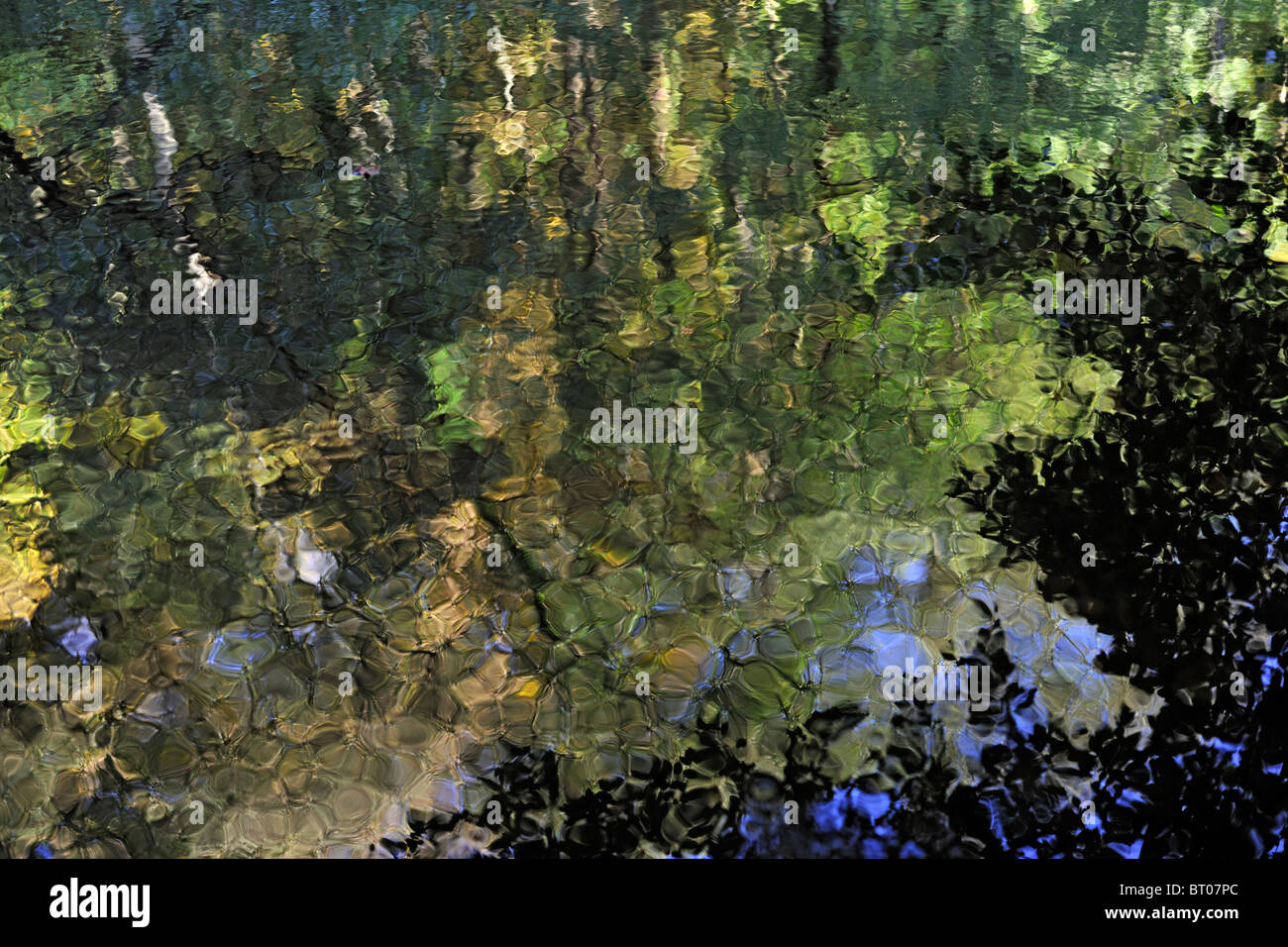 Autunnale di tavolozza di colori riflessi nel fiume Nidd, nello Yorkshire, Inghilterra Foto Stock