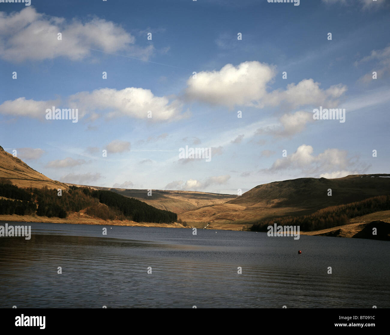 Pietre Wimberry Brow Colomba sopra il serbatoio di pietra Greenfield Lancashire Inghilterra Foto Stock
