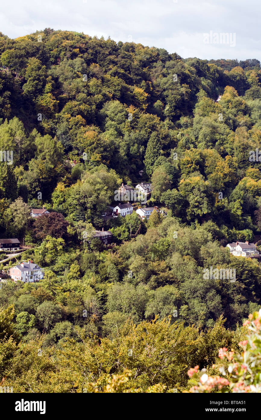 Symonds Yat la vista al di sopra del fiume Wye a pendii boscosi autunno Gloucestershire in Inghilterra Foto Stock