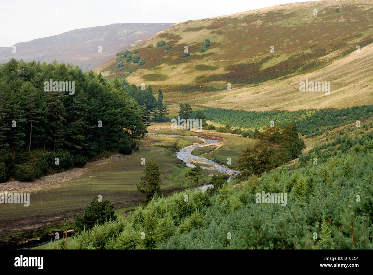 Fiume Derwent derbyshire England Regno Unito Foto Stock