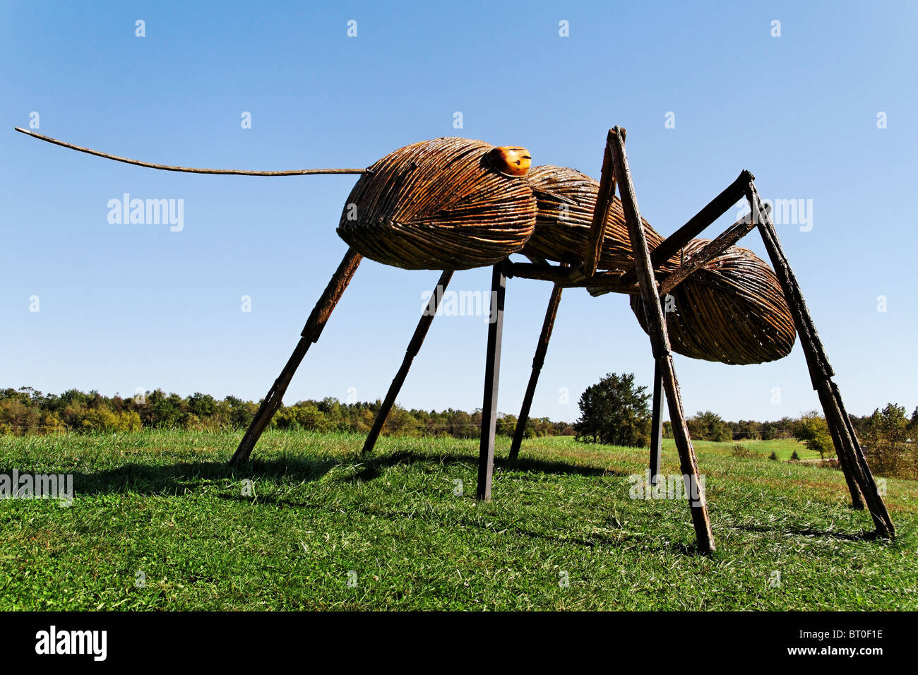 Dave Rogers' big bug a Powell Gardens Foto Stock